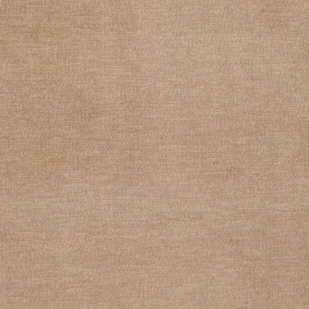 D3836 by Charlotte Fabric Classic Velvet II 90% Polyester, 10% Nylon Asia Exceeds 240,000 Wyzenbeek Rubs (Heavy Duty) No Repeat 54 Inches - Fabric Carolina -