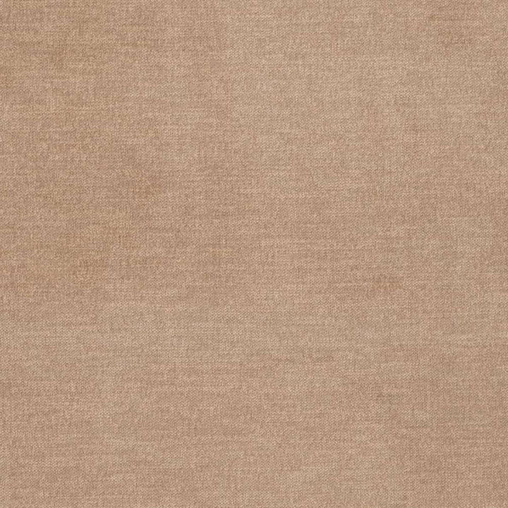 D3836 by Charlotte Fabric Classic Velvet II 90% Polyester, 10% Nylon Asia Exceeds 240,000 Wyzenbeek Rubs (Heavy Duty) No Repeat 54 Inches - Fabric Carolina -