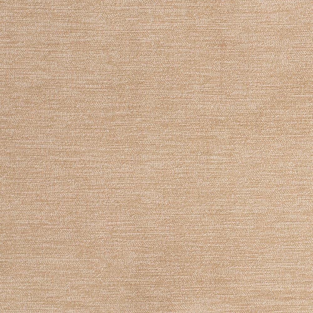 D3840 by Charlotte Fabric Classic Velvet II 90% Polyester, 10% Nylon Asia Exceeds 240,000 Wyzenbeek Rubs (Heavy Duty) No Repeat 54 Inches - Fabric Carolina -