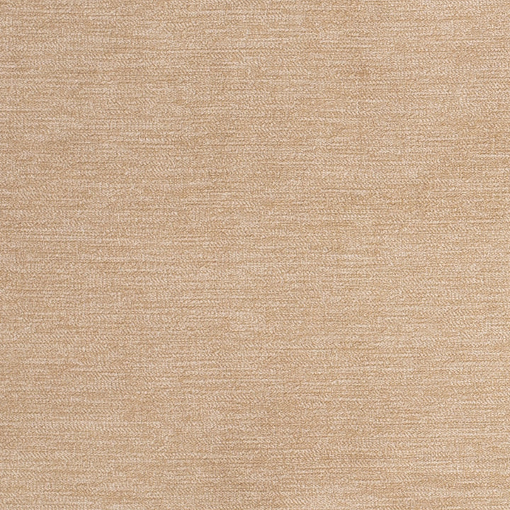 D3840 by Charlotte Fabric Classic Velvet II 90% Polyester, 10% Nylon Asia Exceeds 240,000 Wyzenbeek Rubs (Heavy Duty) No Repeat 54 Inches - Fabric Carolina -
