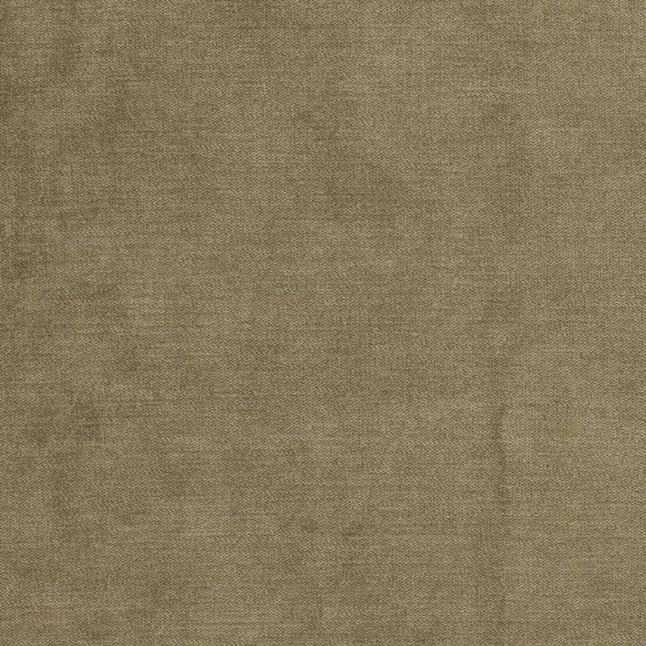 D3844 by Charlotte Fabric Classic Velvet II 90% Polyester, 10% Nylon Asia Exceeds 240,000 Wyzenbeek Rubs (Heavy Duty) No Repeat 54 Inches - Fabric Carolina -