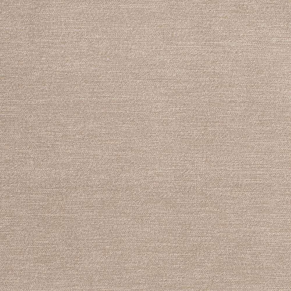 D3845 by Charlotte Fabric Classic Velvet II 90% Polyester, 10% Nylon Asia Exceeds 240,000 Wyzenbeek Rubs (Heavy Duty) No Repeat 54 Inches - Fabric Carolina -