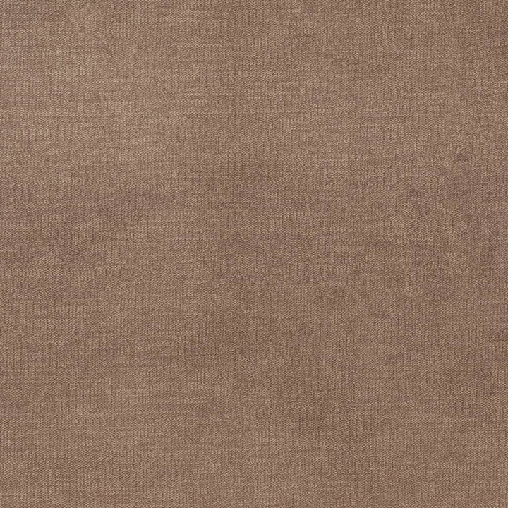 D3847 by Charlotte Fabric Classic Velvet II 90% Polyester, 10% Nylon Asia Exceeds 240,000 Wyzenbeek Rubs (Heavy Duty) No Repeat 54 Inches - Fabric Carolina -