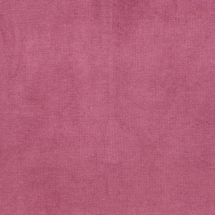 D3849 by Charlotte Fabric Classic Velvet II 90% Polyester, 10% Nylon Asia Exceeds 240,000 Wyzenbeek Rubs (Heavy Duty) No Repeat 54 Inches - Fabric Carolina -