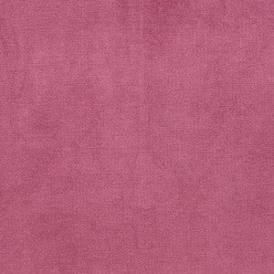 D3849 by Charlotte Fabric