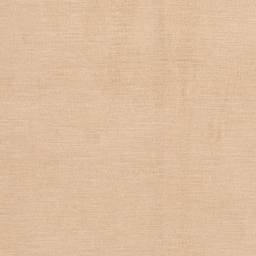 D3851 by Charlotte Fabric Classic Velvet II 90% Polyester, 10% Nylon Asia Exceeds 240,000 Wyzenbeek Rubs (Heavy Duty) No Repeat 54 Inches - Fabric Carolina -