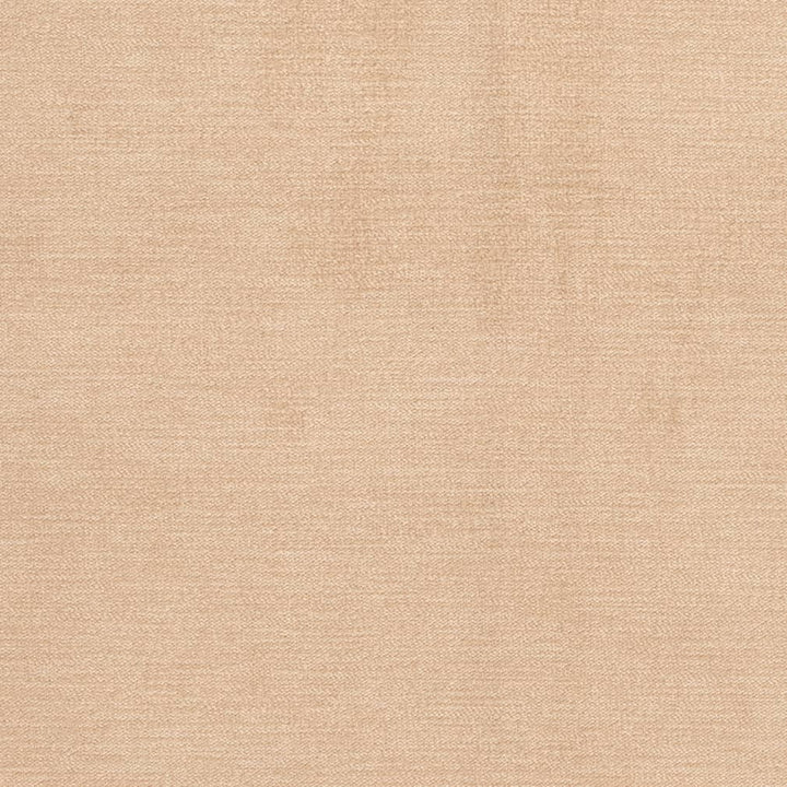 D3851 by Charlotte Fabric Classic Velvet II 90% Polyester, 10% Nylon Asia Exceeds 240,000 Wyzenbeek Rubs (Heavy Duty) No Repeat 54 Inches - Fabric Carolina -