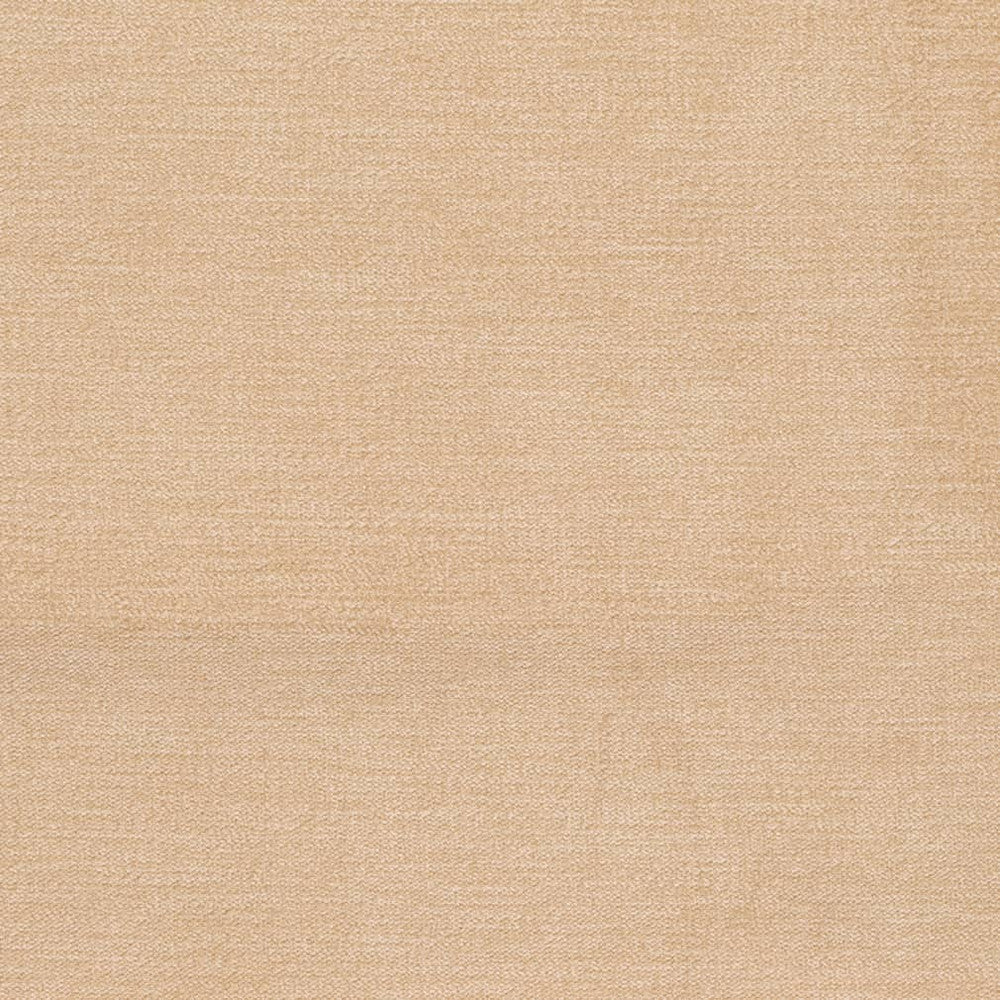 D3853 by Charlotte Fabric Classic Velvet II 90% Polyester, 10% Nylon Asia Exceeds 240,000 Wyzenbeek Rubs (Heavy Duty) No Repeat 54 Inches - Fabric Carolina -