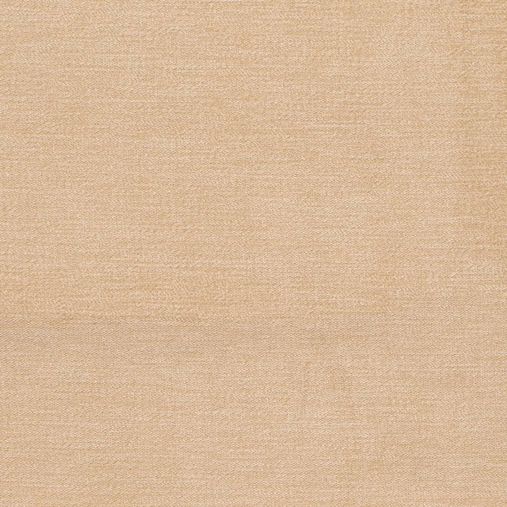 D3853 by Charlotte Fabric Classic Velvet II 90% Polyester, 10% Nylon Asia Exceeds 240,000 Wyzenbeek Rubs (Heavy Duty) No Repeat 54 Inches - Fabric Carolina -
