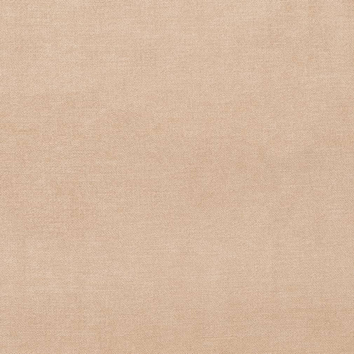 D3860 by Charlotte Fabric Classic Velvet II 90% Polyester, 10% Nylon Asia Exceeds 240,000 Wyzenbeek Rubs (Heavy Duty) No Repeat 54 Inches - Fabric Carolina -