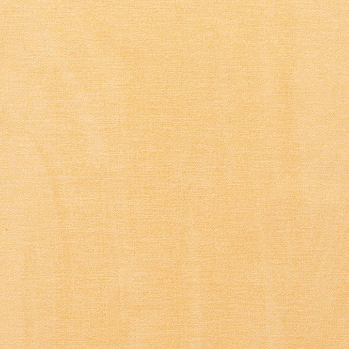 D3861 by Charlotte Fabric Classic Velvet II 90% Polyester, 10% Nylon Asia Exceeds 240,000 Wyzenbeek Rubs (Heavy Duty) No Repeat 54 Inches - Fabric Carolina -