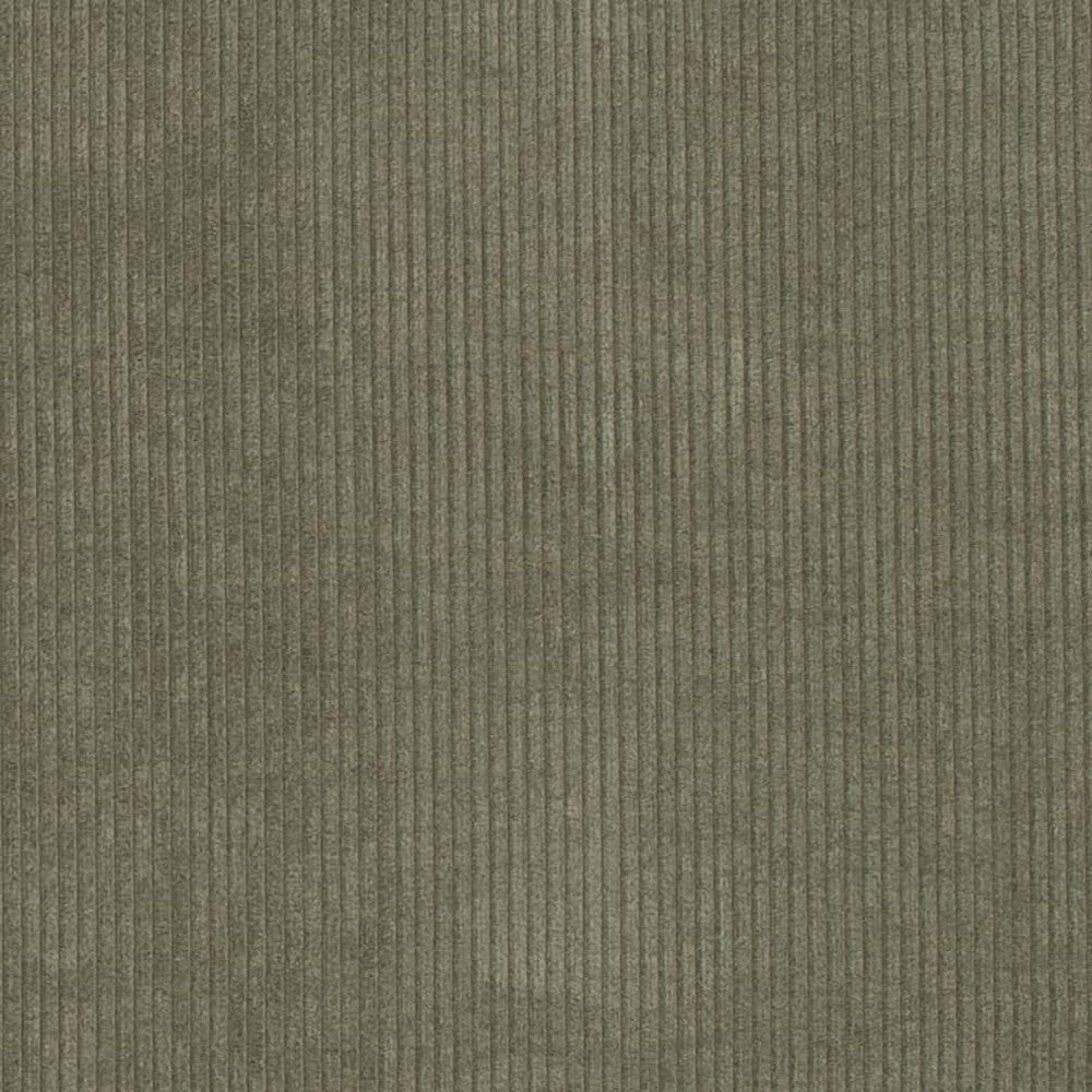 D3869 by Charlotte Fabric Ridges 92% Polyester, 8% Acrylic Asia Exceeds 100,000 Wyzenbeek Rubs (Heavy Duty) No Repeat 54 Inches - Fabric Carolina -