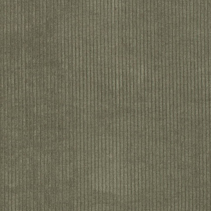 D3869 by Charlotte Fabric Ridges 92% Polyester, 8% Acrylic Asia Exceeds 100,000 Wyzenbeek Rubs (Heavy Duty) No Repeat 54 Inches - Fabric Carolina -