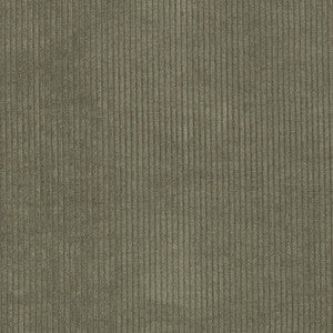 D3869 by Charlotte Fabric