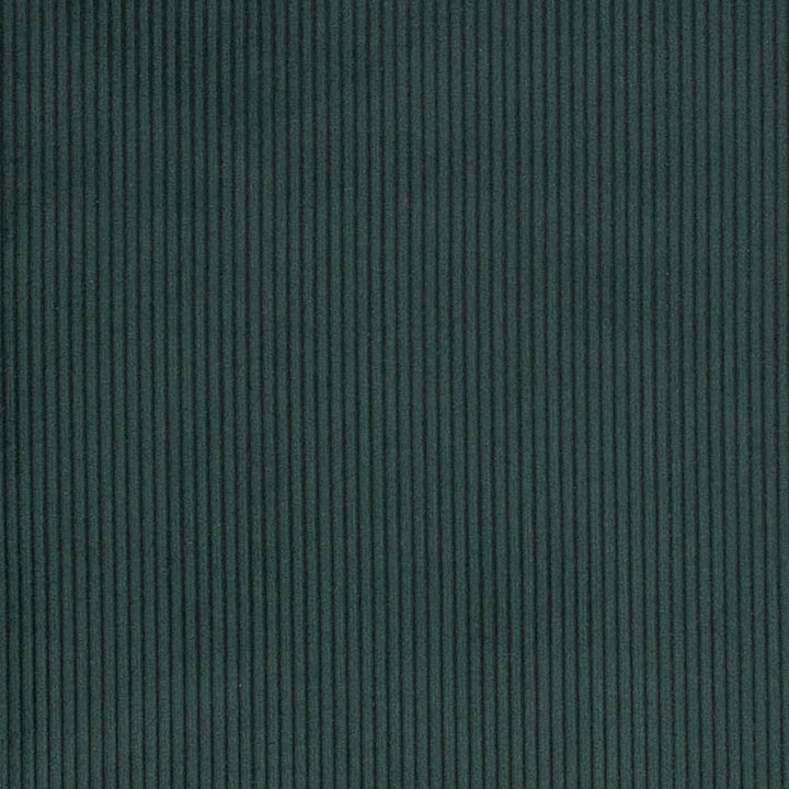 D3870 by Charlotte Fabric Ridges 92% Polyester, 8% Acrylic Asia Exceeds 100,000 Wyzenbeek Rubs (Heavy Duty) No Repeat 54 Inches - Fabric Carolina -