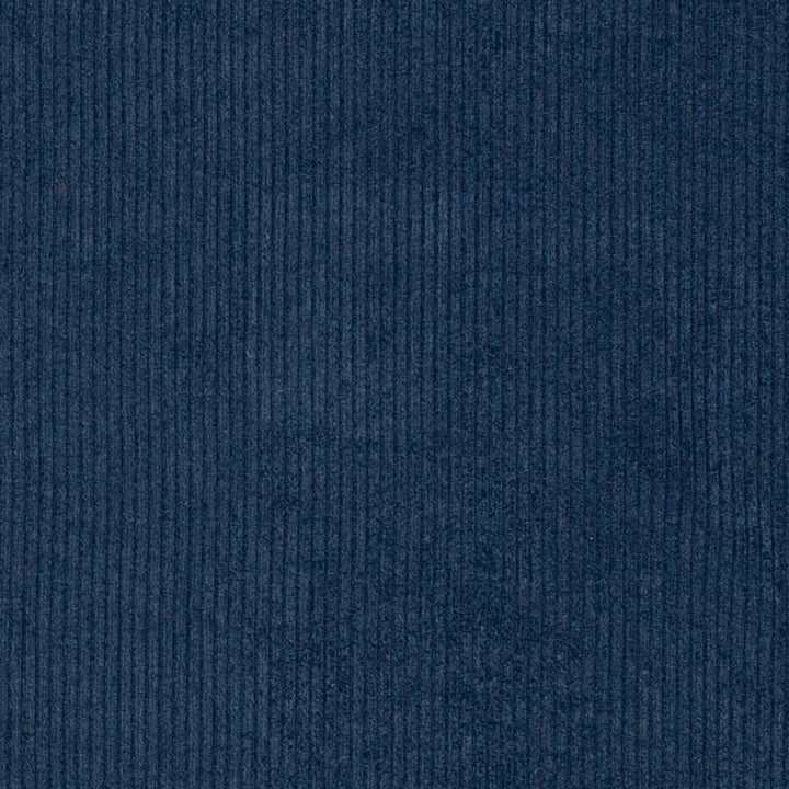 D3874 by Charlotte Fabric Ridges 92% Polyester, 8% Acrylic Asia Exceeds 100,000 Wyzenbeek Rubs (Heavy Duty) No Repeat 54 Inches - Fabric Carolina -