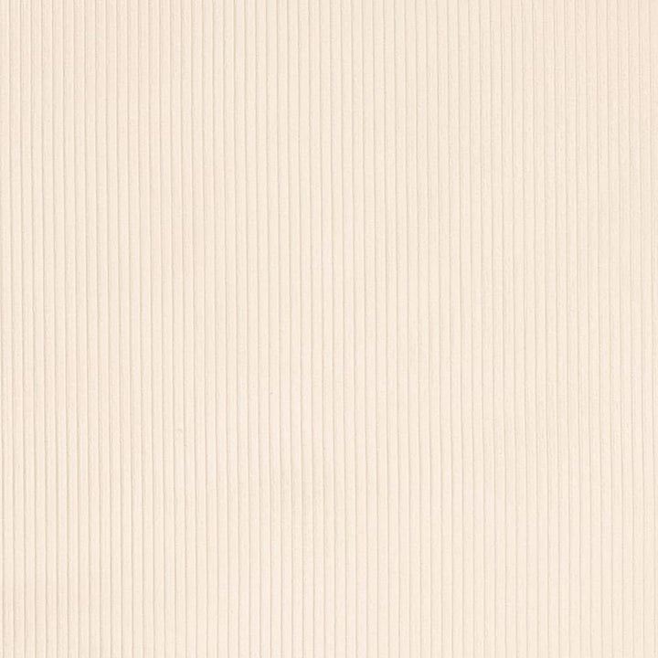 D3880 by Charlotte Fabric Ridges 92% Polyester, 8% Acrylic Asia Exceeds 100,000 Wyzenbeek Rubs (Heavy Duty) No Repeat 54 Inches - Fabric Carolina -