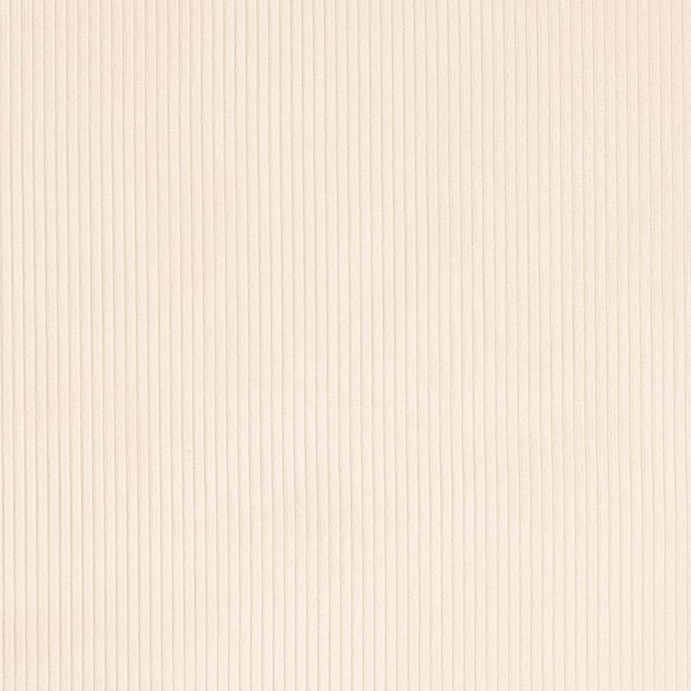 D3880 by Charlotte Designer Fabric Ridges 92% Polyester, 8% Acrylic Asia Exceeds 100,000 Wyzenbeek Rubs (Heavy Duty) No Repeat 54 Inches - Swanky Fabrics -