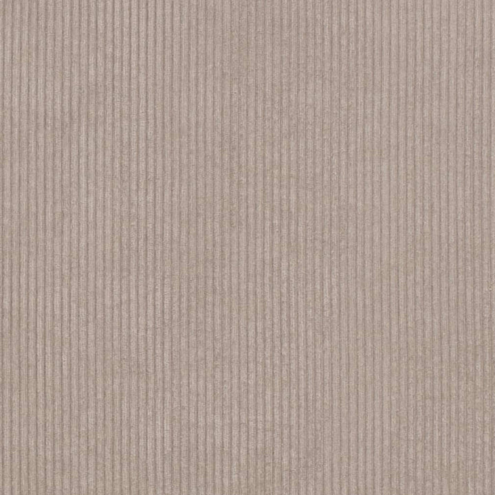 D3881 by Charlotte Fabric Ridges 92% Polyester, 8% Acrylic Asia Exceeds 100,000 Wyzenbeek Rubs (Heavy Duty) No Repeat 54 Inches - Fabric Carolina -