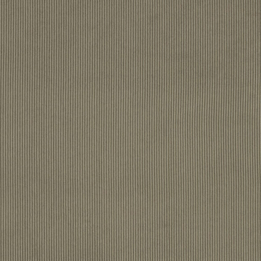 D3887 by Charlotte Fabric Ridges 90% Polyester, 10% Nylon Asia Exceeds 300,000 Wyzenbeek Rubs (Heavy Duty) No Repeat 54 Inches - Fabric Carolina -
