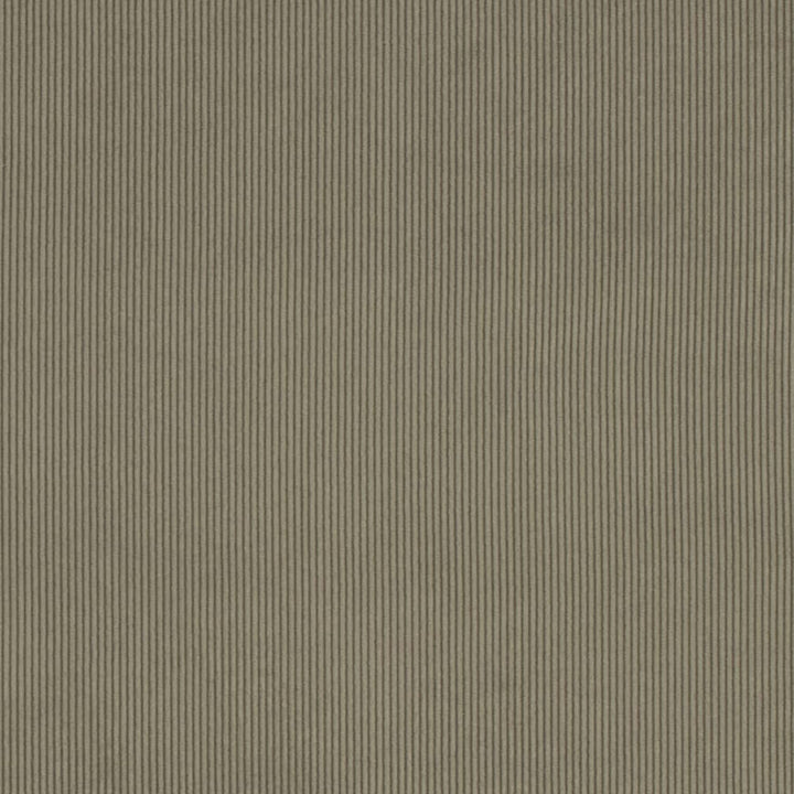 D3887 by Charlotte Fabric Ridges 90% Polyester, 10% Nylon Asia Exceeds 300,000 Wyzenbeek Rubs (Heavy Duty) No Repeat 54 Inches - Fabric Carolina -