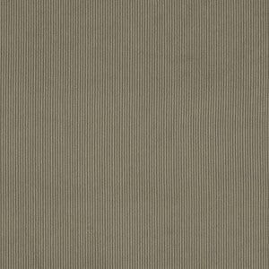 D3887 by Charlotte Fabric