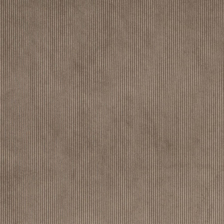 D3891 by Charlotte Designer Fabric Ridges 90% Polyester, 10% Nylon Asia Exceeds 300,000 Wyzenbeek Rubs (Heavy Duty) No Repeat 54 Inches - Swanky Fabrics -