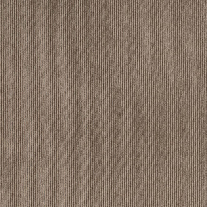 D3891 by Charlotte Fabric Ridges 90% Polyester, 10% Nylon Asia Exceeds 300,000 Wyzenbeek Rubs (Heavy Duty) No Repeat 54 Inches - Fabric Carolina -