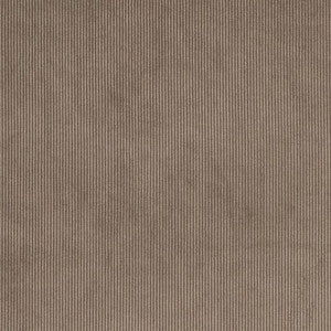 D3891 by Charlotte Fabric