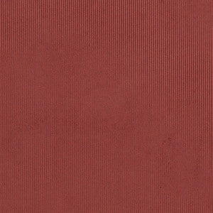 D3893 by Charlotte Fabric