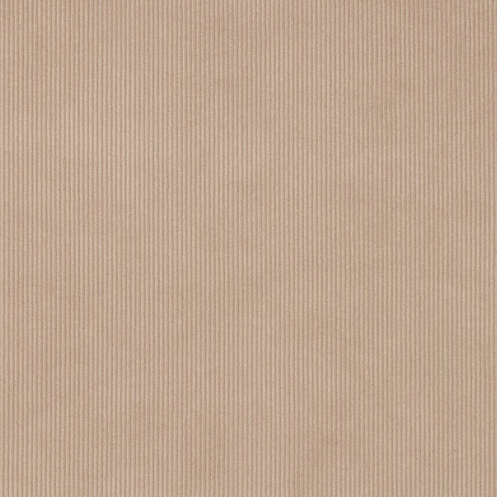D3895 by Charlotte Fabric Ridges 90% Polyester, 10% Nylon Asia Exceeds 300,000 Wyzenbeek Rubs (Heavy Duty) No Repeat 54 Inches - Fabric Carolina -