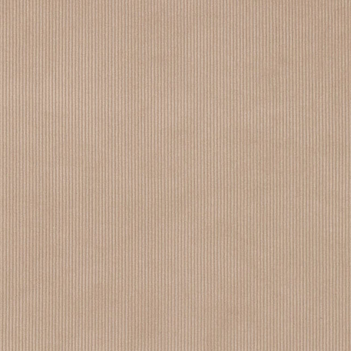 D3895 by Charlotte Fabric Ridges 90% Polyester, 10% Nylon Asia Exceeds 300,000 Wyzenbeek Rubs (Heavy Duty) No Repeat 54 Inches - Fabric Carolina -