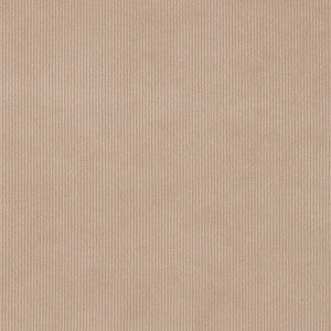 D3895 by Charlotte Fabric
