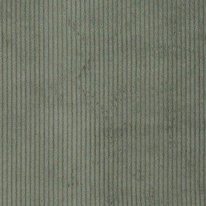 D3898 by Charlotte Fabric