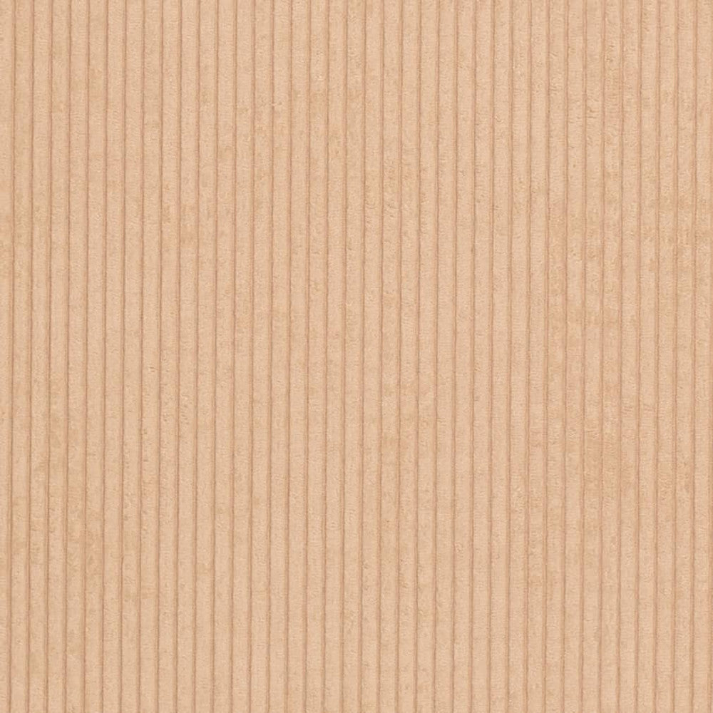 D3899 by Charlotte Fabric Ridges 90% Polyester, 10% Nylon Asia Exceeds 150,000 Wyzenbeek Rubs (Heavy Duty) No Repeat 54 Inches - Fabric Carolina -