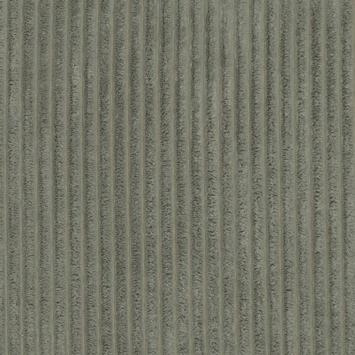 D3915 by Charlotte Fabric Ridges 90% Polyester, 10% Nylon Asia Exceeds 150,000 Wyzenbeek Rubs (Heavy Duty) No Repeat 54 Inches - Fabric Carolina -