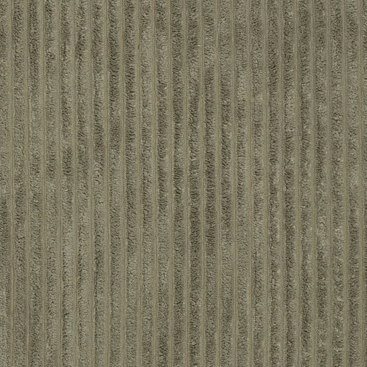 D3917 by Charlotte Fabric Ridges 90% Polyester, 10% Nylon Asia Exceeds 150,000 Wyzenbeek Rubs (Heavy Duty) No Repeat 54 Inches - Fabric Carolina -