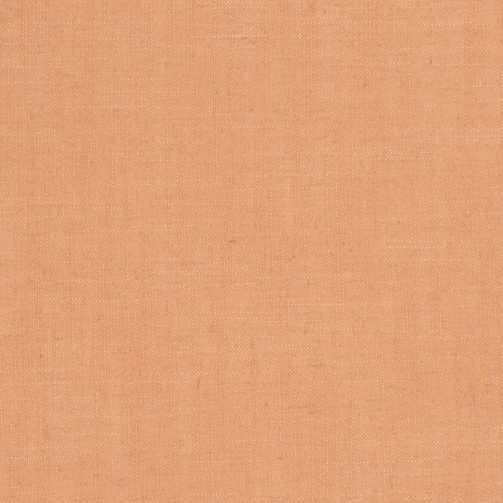 D3938 by Charlotte Fabric Casual Linen 45% Viscose, 35% Polyester, 20% Linen, 16 oz. Asia Exceeds 50,000 Wyzenbeek Rubs (Heavy Duty) No Repeat 54 Inches - Fabric Carolina -