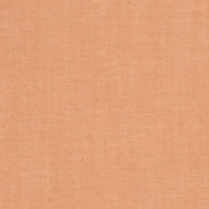 D3938 by Charlotte Fabric Casual Linen 45% Viscose, 35% Polyester, 20% Linen, 16 oz. Asia Exceeds 50,000 Wyzenbeek Rubs (Heavy Duty) No Repeat 54 Inches - Fabric Carolina -