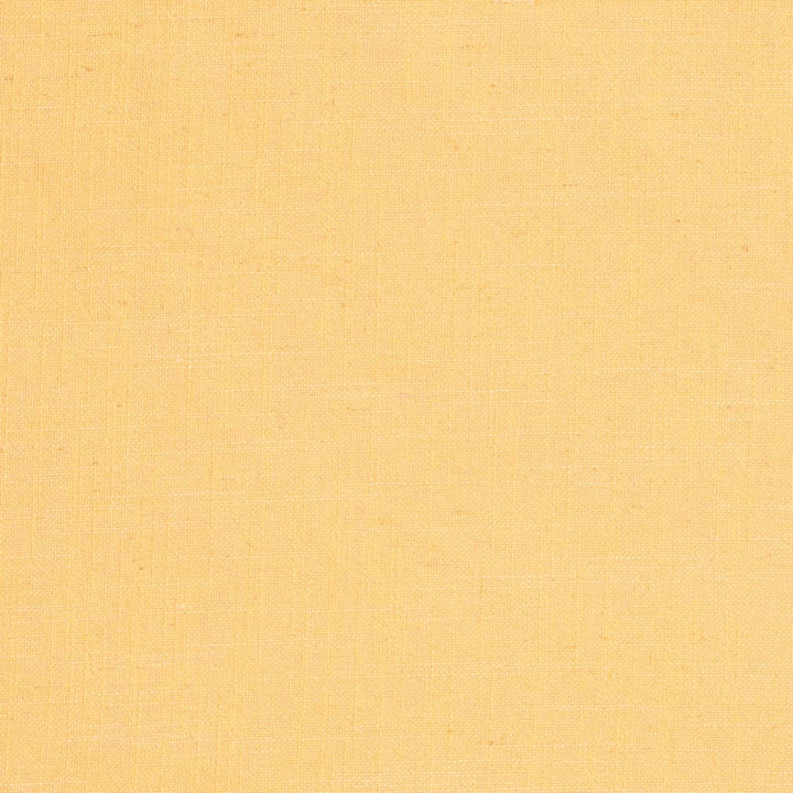 D3941 by Charlotte Fabric Casual Linen 45% Viscose, 35% Polyester, 20% Linen, 16 oz. Asia Exceeds 50,000 Wyzenbeek Rubs (Heavy Duty) No Repeat 54 Inches - Fabric Carolina -