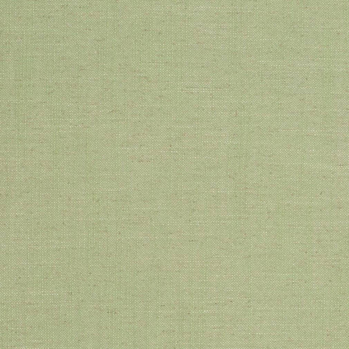 D3951 by Charlotte Fabric Casual Linen 45% Viscose, 35% Polyester, 20% Linen, 16 oz. Asia Exceeds 50,000 Wyzenbeek Rubs (Heavy Duty) No Repeat 54 Inches - Fabric Carolina -