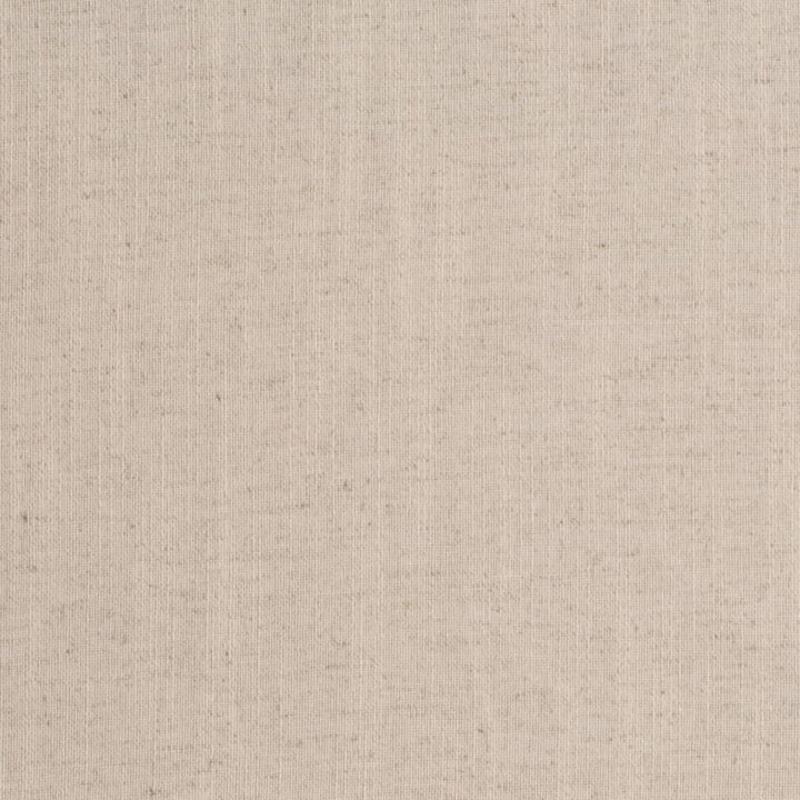 D3952 by Charlotte Fabric Casual Linen 45% Viscose, 35% Polyester, 20% Linen, 16 oz. Asia Exceeds 50,000 Wyzenbeek Rubs (Heavy Duty) No Repeat 54 Inches - Fabric Carolina -