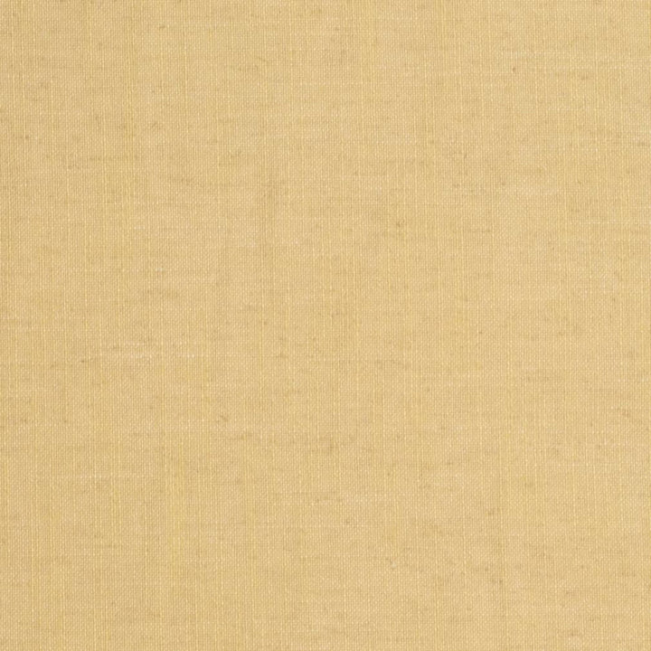 D3953 by Charlotte Fabric Casual Linen 45% Viscose, 35% Polyester, 20% Linen, 16 oz. Asia Exceeds 50,000 Wyzenbeek Rubs (Heavy Duty) No Repeat 54 Inches - Fabric Carolina -