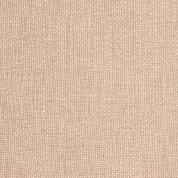 D3958 by Charlotte Fabric Casual Linen 45% Viscose, 35% Polyester, 20% Linen, 16 oz. Asia Exceeds 50,000 Wyzenbeek Rubs (Heavy Duty) No Repeat 54 Inches - Fabric Carolina -
