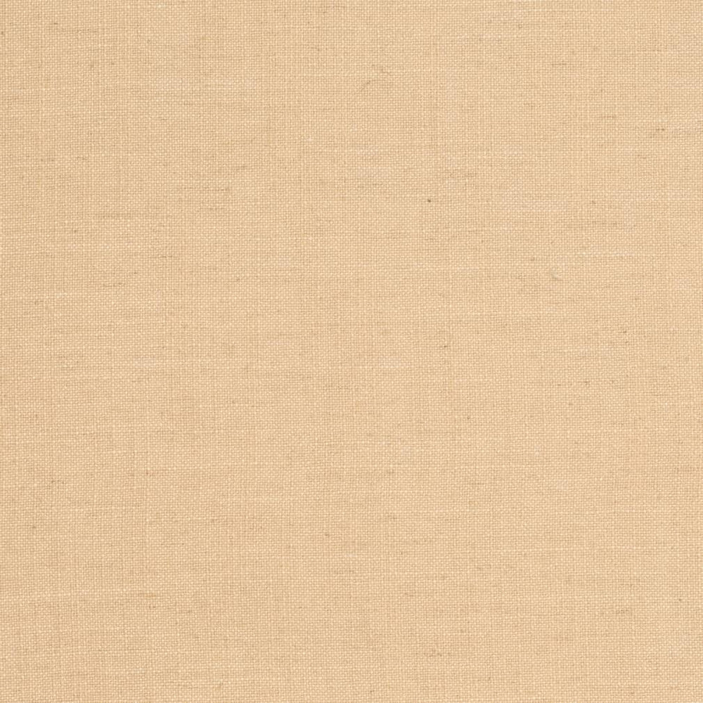 D3959 by Charlotte Fabric Casual Linen 45% Viscose, 35% Polyester, 20% Linen, 16 oz. Asia Exceeds 50,000 Wyzenbeek Rubs (Heavy Duty) No Repeat 54 Inches - Fabric Carolina -