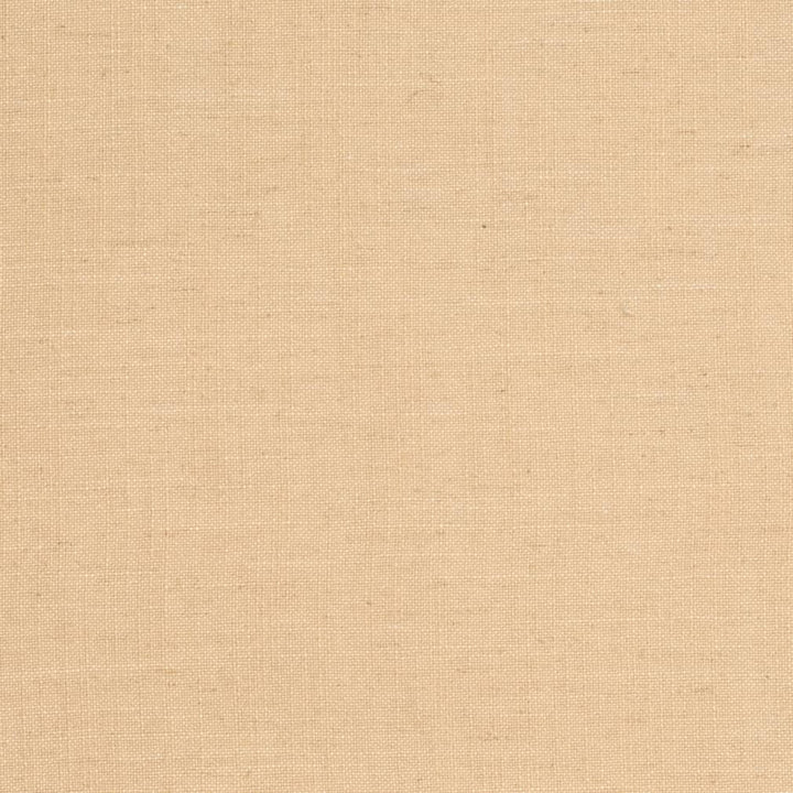 D3959 by Charlotte Fabric Casual Linen 45% Viscose, 35% Polyester, 20% Linen, 16 oz. Asia Exceeds 50,000 Wyzenbeek Rubs (Heavy Duty) No Repeat 54 Inches - Fabric Carolina -