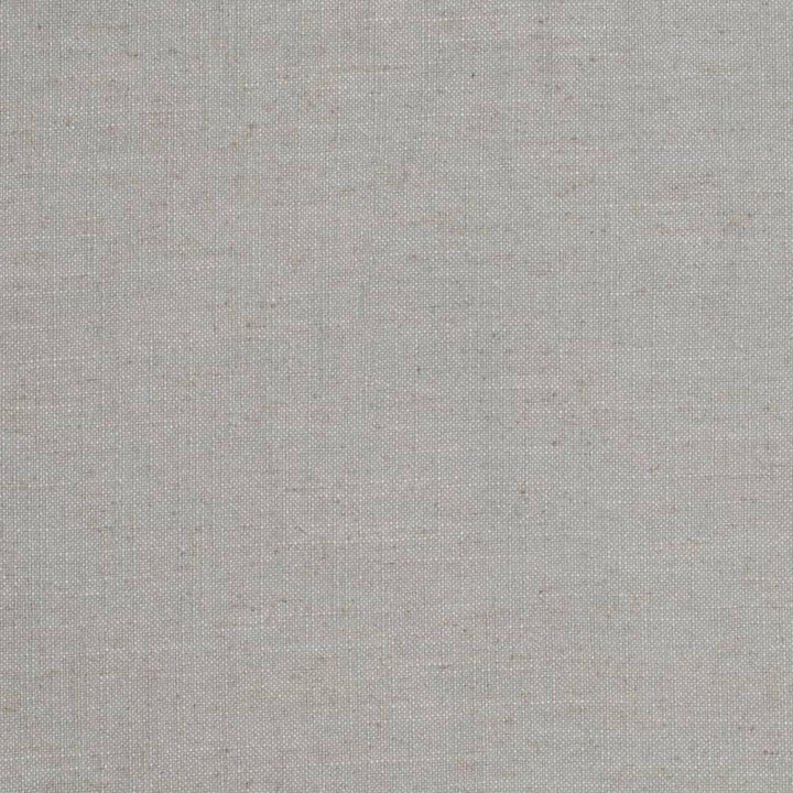 D3960 by Charlotte Fabric Casual Linen 45% Viscose, 35% Polyester, 20% Linen, 16 oz. Asia Exceeds 50,000 Wyzenbeek Rubs (Heavy Duty) No Repeat 54 Inches - Fabric Carolina -