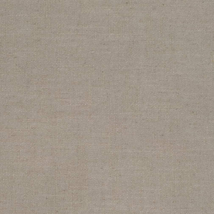 D3968 by Charlotte Fabric Casual Linen 45% Viscose, 35% Polyester, 20% Linen, 16 oz. Asia Exceeds 50,000 Wyzenbeek Rubs (Heavy Duty) No Repeat 54 Inches - Fabric Carolina -