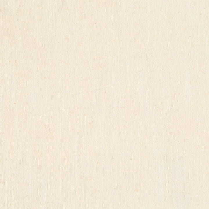 D3971 by Charlotte Fabric Casual Linen 45% Viscose, 35% Polyester, 20% Linen, 16 oz. Asia Exceeds 50,000 Wyzenbeek Rubs (Heavy Duty) No Repeat 54 Inches - Fabric Carolina -