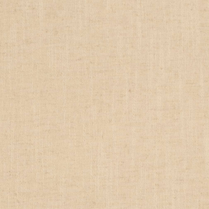 D3973 by Charlotte Fabric Casual Linen 45% Viscose, 35% Polyester, 20% Linen, 16 oz. Asia Exceeds 50,000 Wyzenbeek Rubs (Heavy Duty) No Repeat 54 Inches - Fabric Carolina -